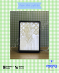 Custom Photo Light Box